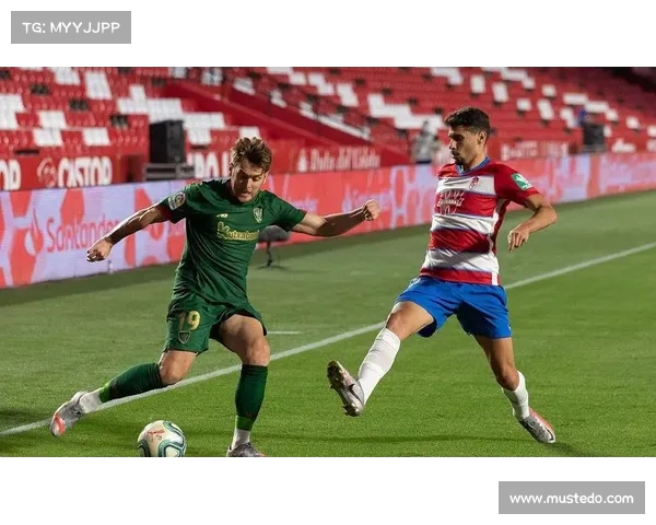 西甲球队后防线稳定性分析与影响因素探讨